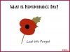 Remembrance Day Teaching Resources (slide 2/25)